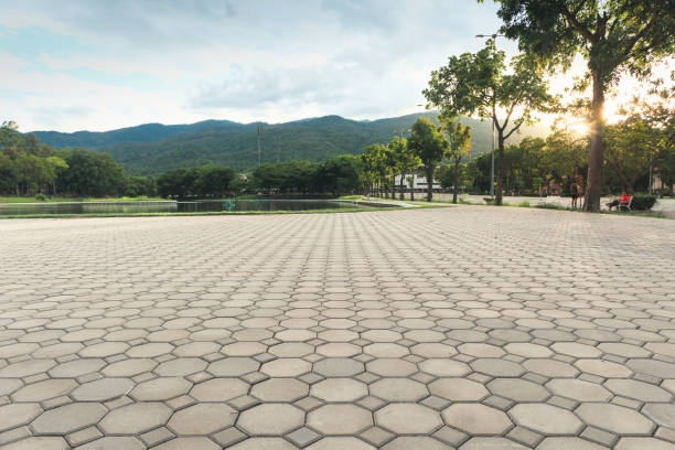 Best Local Driveway Pavers  in Unionville, NC